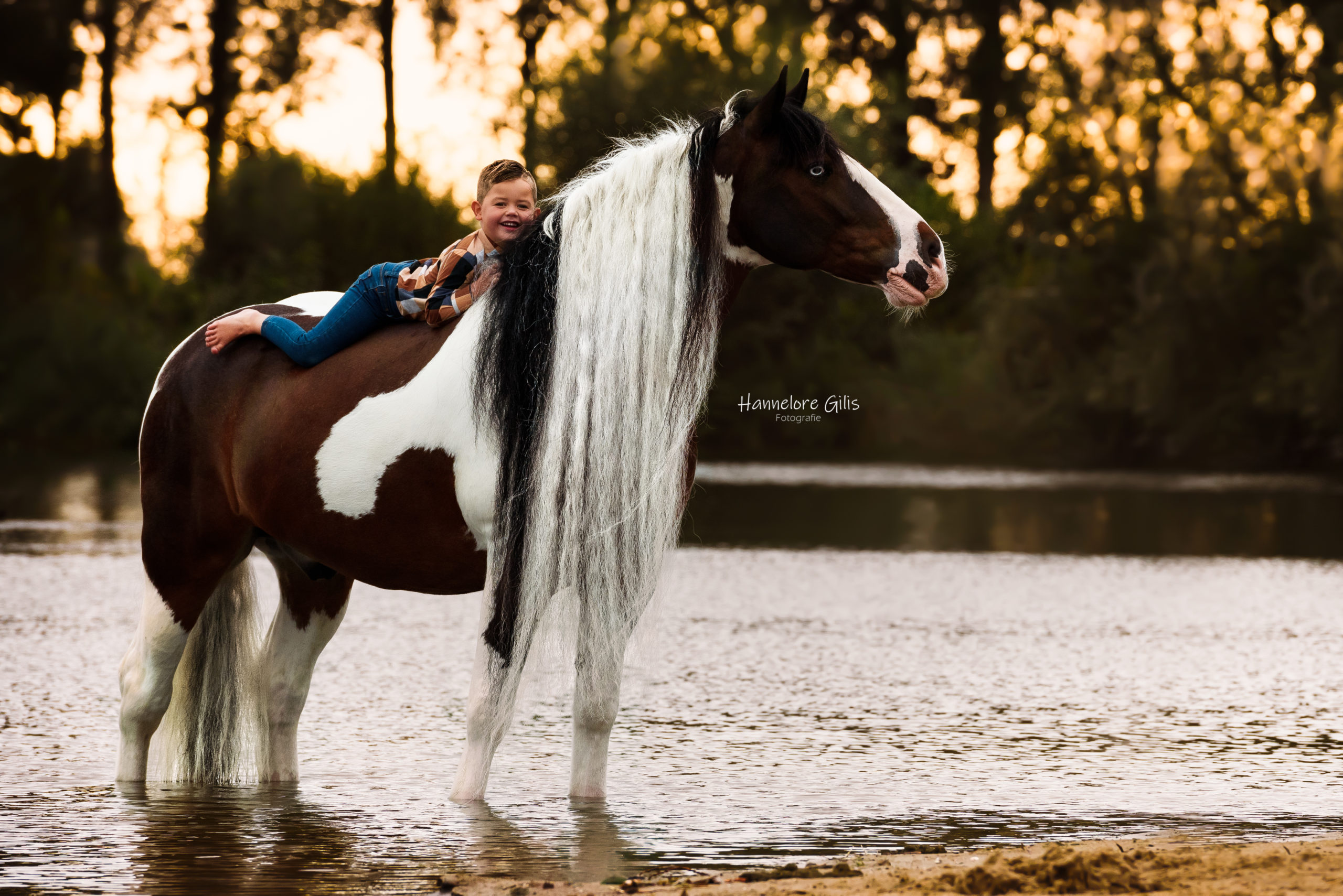 Paardenfotografie | Tinker met lange manen en kleine jongen in waterplas