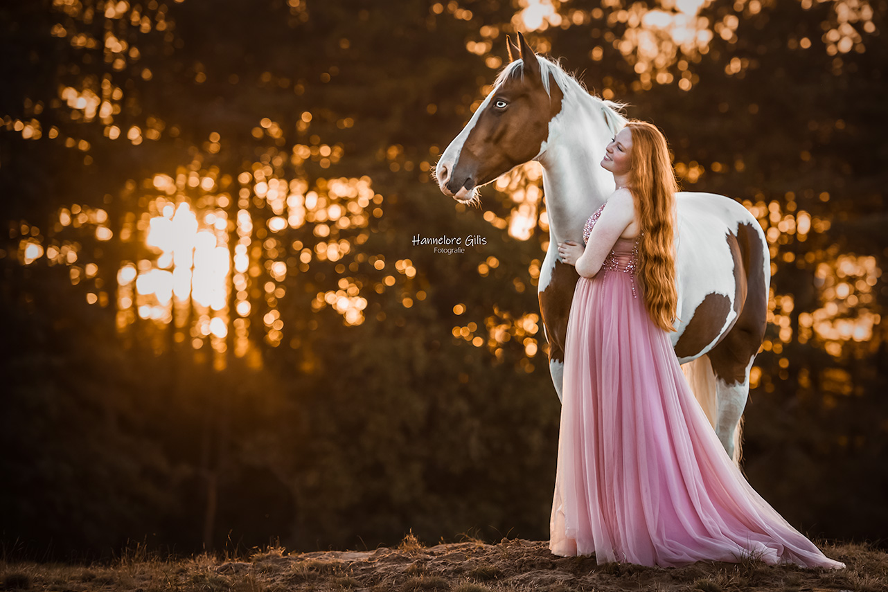 Gevlekt paard met eigenaar tijdens zonsondergang